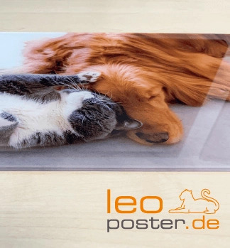 Hochwertige Acrylglasplatte bedrucken lassen